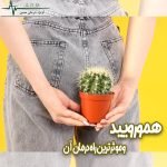 هموروئید و موثرترین راه درمان آن